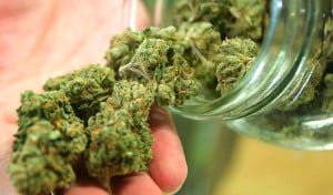 cannabis en la comida