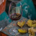 gastronomía y vino