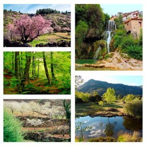 turismo y gastronomía