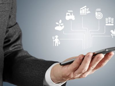 innovación alimentaria