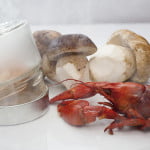 jornadas gastronomicas