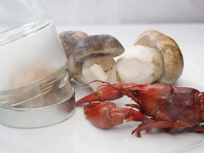 jornadas gastronomicas