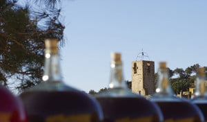 vinos de cataluña