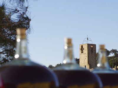 vinos de cataluña