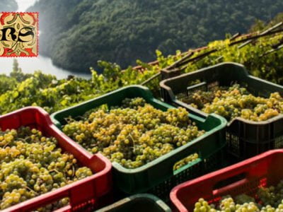 turismo gastronomico y enologico