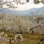 Turismo gastronomico