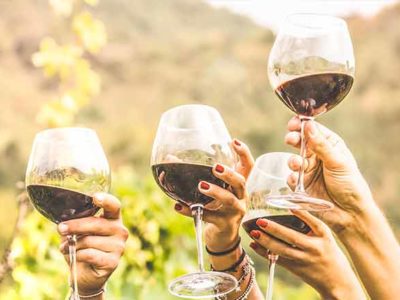 vinos