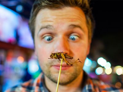 Alimentacion y Salud