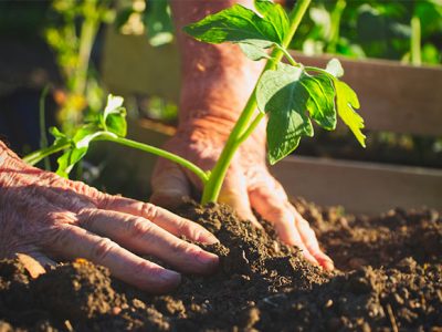 productos de cercania