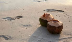 turismo gastronomico