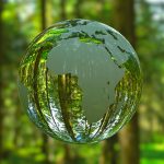 ecologia y salud